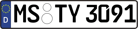 MS-TY3091