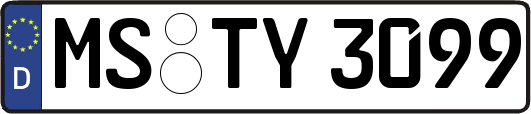 MS-TY3099
