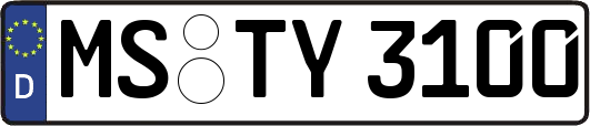 MS-TY3100