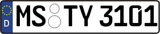 MS-TY3101