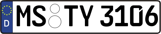MS-TY3106