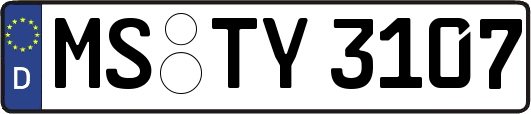 MS-TY3107