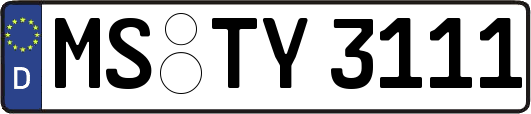 MS-TY3111