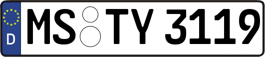 MS-TY3119