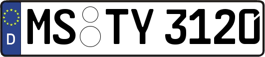MS-TY3120