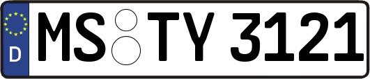 MS-TY3121