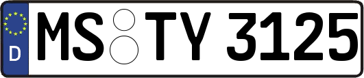 MS-TY3125
