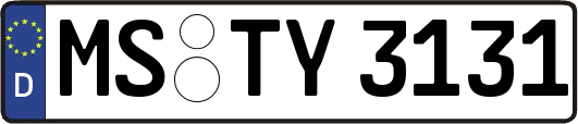 MS-TY3131