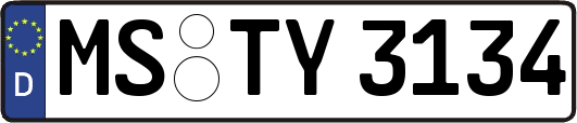 MS-TY3134