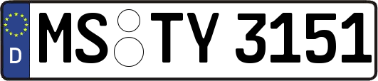 MS-TY3151