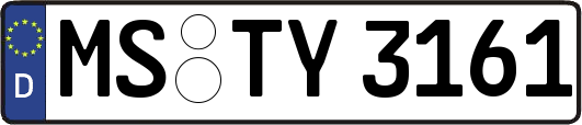 MS-TY3161