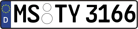 MS-TY3166