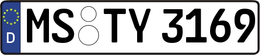 MS-TY3169