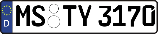 MS-TY3170