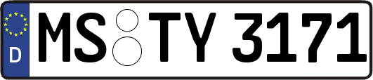 MS-TY3171