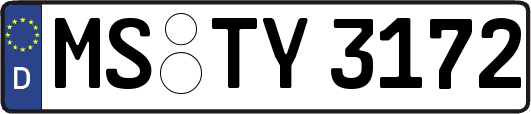 MS-TY3172