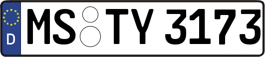 MS-TY3173