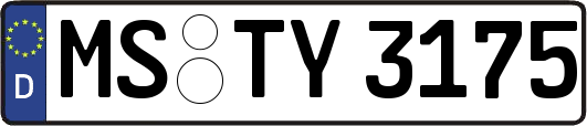 MS-TY3175