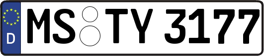 MS-TY3177