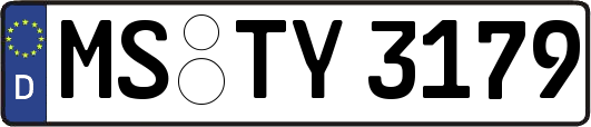 MS-TY3179