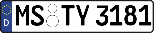 MS-TY3181