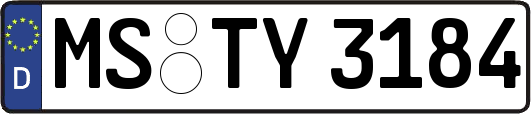 MS-TY3184