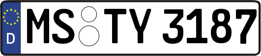 MS-TY3187