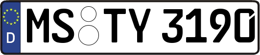 MS-TY3190