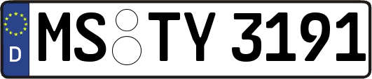 MS-TY3191