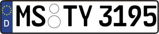 MS-TY3195