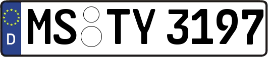 MS-TY3197