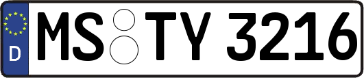 MS-TY3216