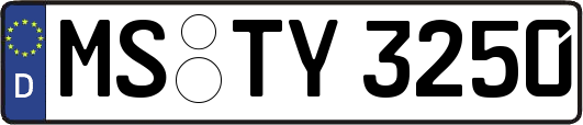 MS-TY3250