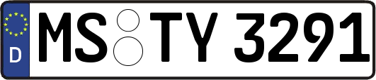 MS-TY3291