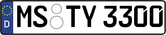 MS-TY3300