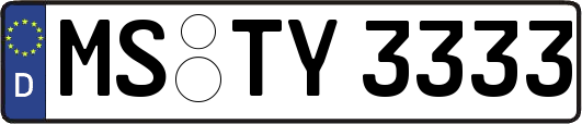 MS-TY3333
