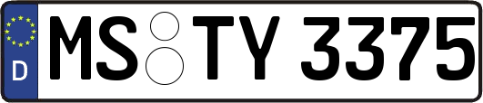 MS-TY3375
