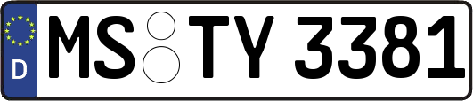 MS-TY3381
