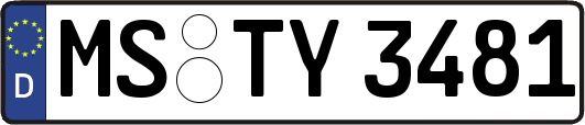 MS-TY3481