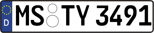 MS-TY3491