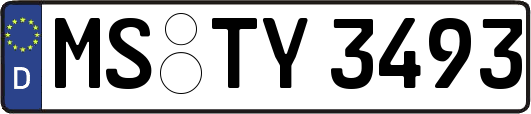 MS-TY3493