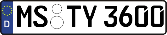 MS-TY3600