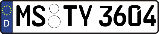 MS-TY3604