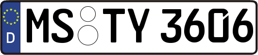 MS-TY3606