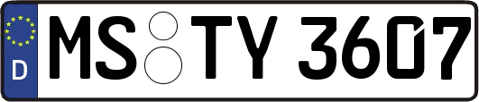 MS-TY3607