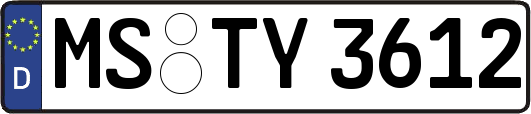 MS-TY3612