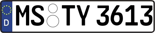 MS-TY3613