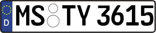 MS-TY3615