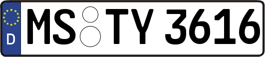 MS-TY3616