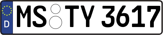 MS-TY3617